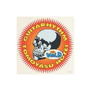 布袋寅泰／ギタリズム・ワイルド