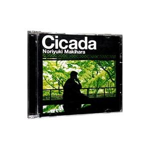 槇原敬之／Cicada 初回盤