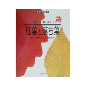 拾って楽しむ紅葉と落ち葉／片桐啓子