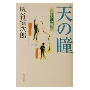 天の瞳 全9冊 灰谷健次郎 角川文庫 全巻 セット 全巻、表紙アルコール