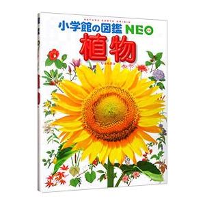 植物／岡田比呂実｜netoff