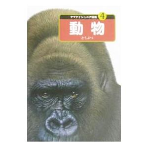 動物／山と溪谷社