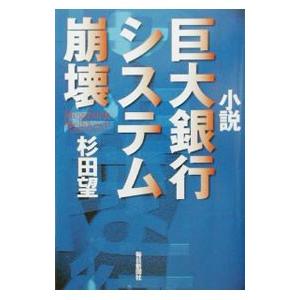 小説巨大銀行システム崩壊／杉田望の買取情報