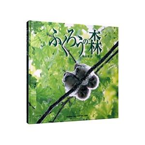 ふくろうの森／横田雅博
