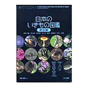 日本のいきもの図鑑 都会編／前園泰徳