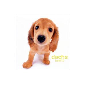 ダックスが選ぶベストテン with バウリンガル