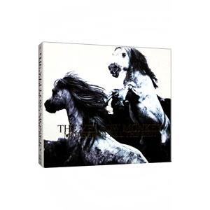 ☆CD ブギーナイツ Boogie Nights オリジナルサウンドトラック
