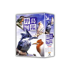 DVD／野鳥図鑑 ＤＶＤ−ＢＯＸ