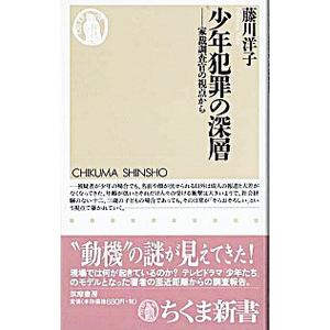 少年犯罪の深層／藤川洋子