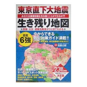 東京直下大地震生き残り地図／目黒公郎