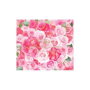 T．M．Revolution／UNDER：COVER