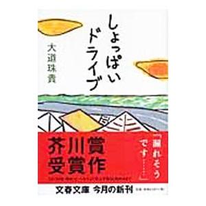 しょっぱいドライブ／大道珠貴