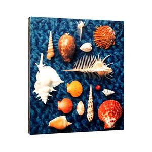 スピッツ / CYCLE HIT 1991-1997 Spitz Complete Single Collection