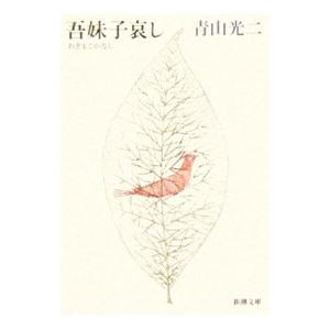 代ゼミ 代々木ゼミナール 難関大攻略Perfect English(読解中心
