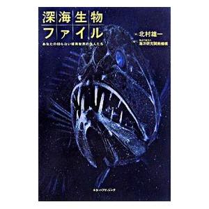 深海生物ファイル−あなたの知らない暗黒世界の住人たち−／北村雄一