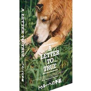 DVD／トゥルーへの手紙 スペシャル エディション