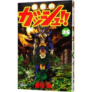 金色のガッシュ！！ 25／雷句誠
