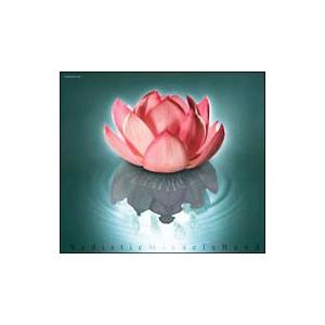 サディスティック・ミカ・バンド／ナルキッソス 初回限定盤