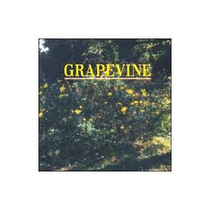 GRAPEVINE／指先｜COME ON