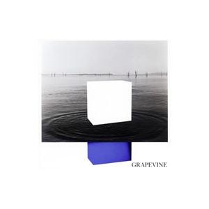 ＧＲＡＰＥＶＩＮＥ／イデアの水槽 期間限定特別価格盤