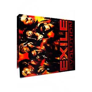 サザンオールスターズ 武道館コンサート [VHS] : ネットショップ