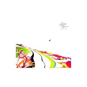 Sotte Bosse／innocent view