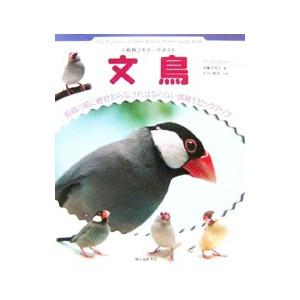 文鳥／伊藤美代子（ライター）の買取情報