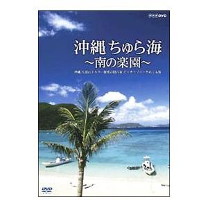 DVD／沖縄 ちゅら海〜南の楽園〜 沖縄，八重山，トカラ…秘密の隠れ家 ビーチリゾートをめぐる旅