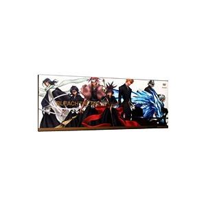 DVD／劇場版 BLEACH MEMORIES OF NOBODY 完全生産限定版
