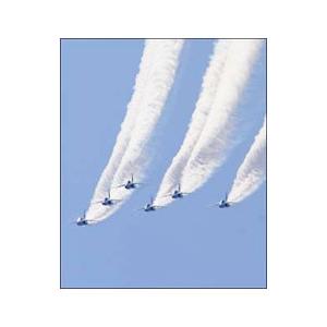 DVD／ブルーインパルス CHALLENGE FOR THE CREATION