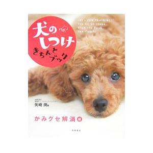犬のしつけきちんとブック かみグセ解消編／矢崎潤