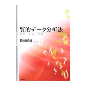 質的データ分析法／佐藤郁哉