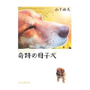 奇跡の母子犬／山下由美