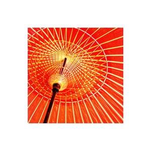 音速ライン／風恋花凛