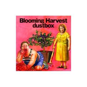 dustbox／Blooming Harvest