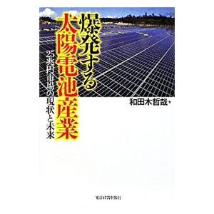 爆発する太陽電池産業／和田木哲哉