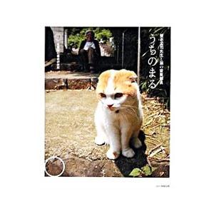 うちのまる−養老孟司先生と猫の営業部長−／養老研究所