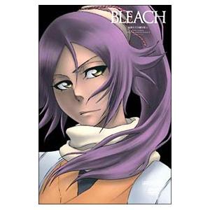 DVD／BLEACH 新隊長天貝繍助篇 4