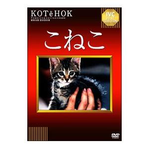 DVD／こねこ