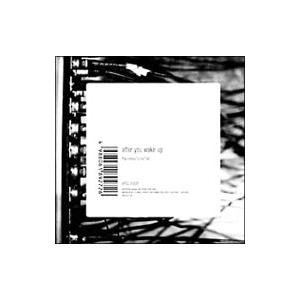 Pay money To my Pain／after you wake up