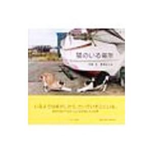 猫のいる場所