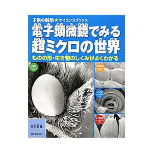 電子顕微鏡でみる超ミクロの世界／矢口行雄の高価買取価格