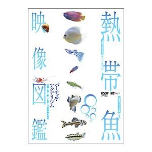 DVD／熱帯魚映像図鑑 バーチャル・アクアリウム 映像と音で愉しむ美しき熱帯魚の世界