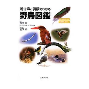 鳴き声と羽根でわかる野鳥図鑑／吉田巧