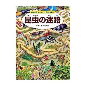 昆虫の迷路／香川元太郎