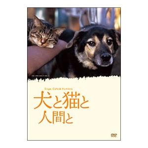 DVD／犬と猫と人間と