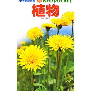 植物／和田浩志