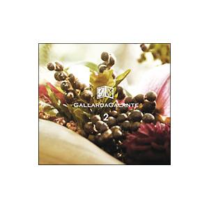 民俗音楽／GALLARDAGALANTE 2〜WALK IN THE FOREST