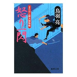 怒り一閃−まろほし銀次捕物帳−／鳥羽亮