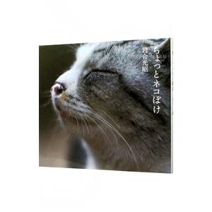 ちょっとネコぼけ